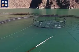 科技助产！增加水中溶氧量30% 这个系统把冷水鱼成活率提高了3%……图片