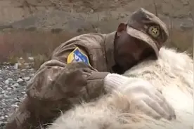 再见了“白英雄”你永远是我们心中快乐的小牦牛图片