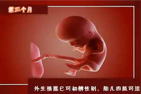 胎儿性别什么时候形成？精子和卵子相遇只是开始，还需关键一战图片