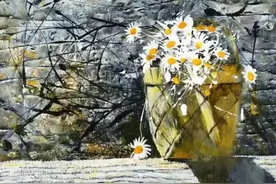 二十年来《读者》最具影响力的十篇文章，值得收藏！图片