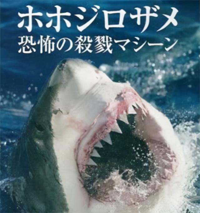 海贼王1023话《一模一样》单话分析及考据解读