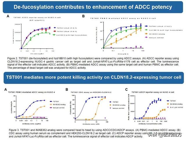 实力靶点CLDN18.2：群狼环伺，谁主沉浮？