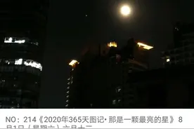 2020生活摄记十五：一叶梧桐一报秋，稻花田里话丰收。立秋图片