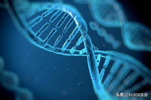 太阳系八大行星中为何只有地球诞生了生命？