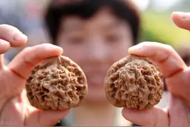 刚入手的文玩核桃怎么玩？跟着这几个步骤做永不出错图片