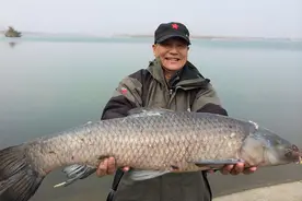 春天钓青鱼有什么妙招？春天钓青鱼用什么饵料？春天钓青鱼的技巧图片