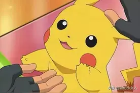 精灵宝可梦第一季小智最开始收服的神奇宝贝图片