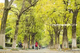 这就是本人的母校，已经六年没回去了，不知道一切可好图片