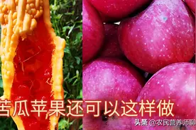 夏天吃苦瓜加苹果有啥好，水嫩肌肤健康美，你还等什么图片