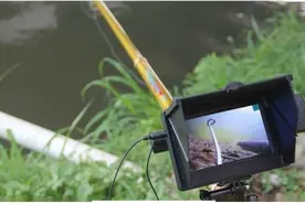 无灵魂的可视锚鱼：这不是钓鱼，而是水下猎杀，被多地禁用图片