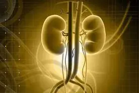 肾不好别怕！脚上2穴位，每天揉按5分钟，经络通畅、温肾补阳图片