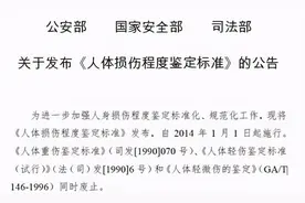 《人体损伤程度鉴定标准》图片