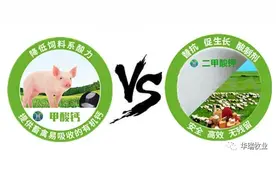 甲酸钙与二甲酸钾的相同之处图片