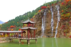 又是一年赏红叶的好时节，淄博周边赏红叶地推荐（二）图片