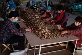 走出去请回来，齐村甘草卖世界图片