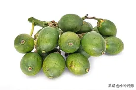 食用槟榔与药用槟榔的三点区别，中医这么看图片