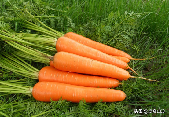 须根角化
