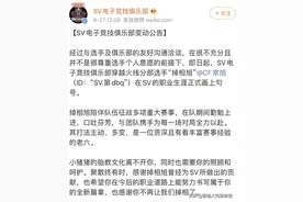 SV皮一下！没想到吧“天蓬元帅”又回来了图片