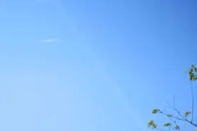 再见已是秋天。​​图片