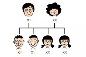 “儿像妈女像爸”？孩子长相遗传谁的多？图片