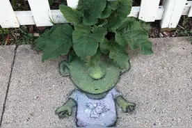 艺术大师的街头3D粉笔画图片