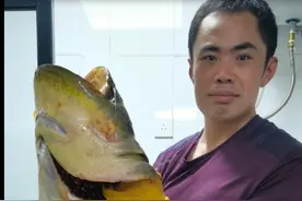 沂河钓起一米二长大鲶鱼！重约40斤 被市民千元买回图片