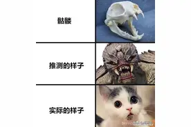 若只通过骷髅复原动物的样子 会有多大误差？图片