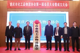 重庆市人民政府口岸和物流办公室主任巴川江出席重庆市化工品物流协会成立大会图片