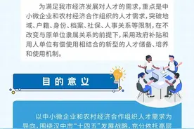 一图读懂！汉中市最新人才政策图片