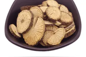 中药古今研究：青风藤图片