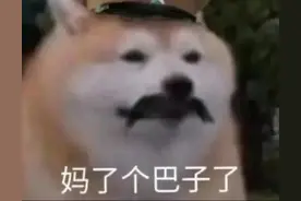 一些“凶狠”的表情包图片