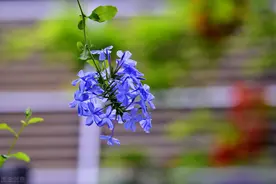 不能及时回复你信息的人，只有两个原因图片