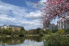 三年一次！教育部公布一项重大获奖名单，重庆2位教授上榜，含金量极高！图片