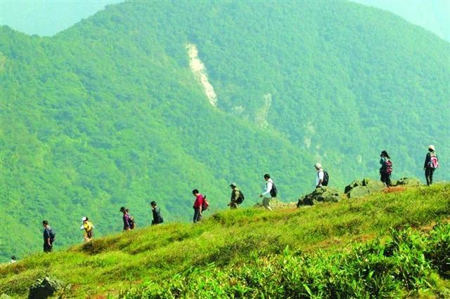 皮肤上像鸡皮疙瘩但是痒