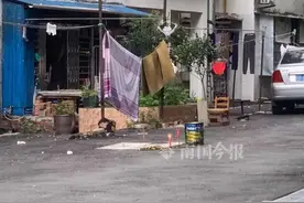 广西一女子今早在小区内遇害，多名住户称听到了呼救声，嫌犯已被抓图片