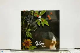 #今日听碟#万芳《给你们》图片