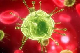 非洲一只黑猩猩，是怎么把艾滋病传给非洲黑人，再传到全世界的？图片