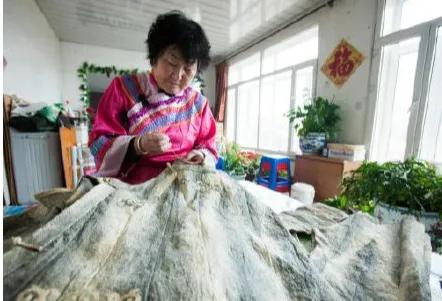 如何泡发干鱼皮 2026年怎么泡发干鱼皮