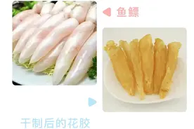 食物真相 | 揭开上万元天价花胶的真面目图片