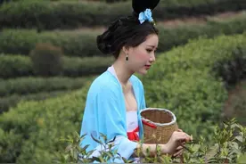 历史知识·《茶经》·之事图片