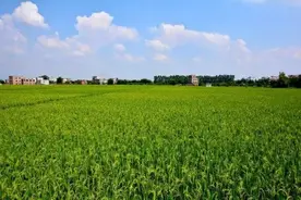 八十年代，茂名人过年的故事，斗气烧烟花爆竹，请人舞狮做木偶戏图片