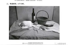 2022届安徽省美术统考一模~色彩高分卷图片