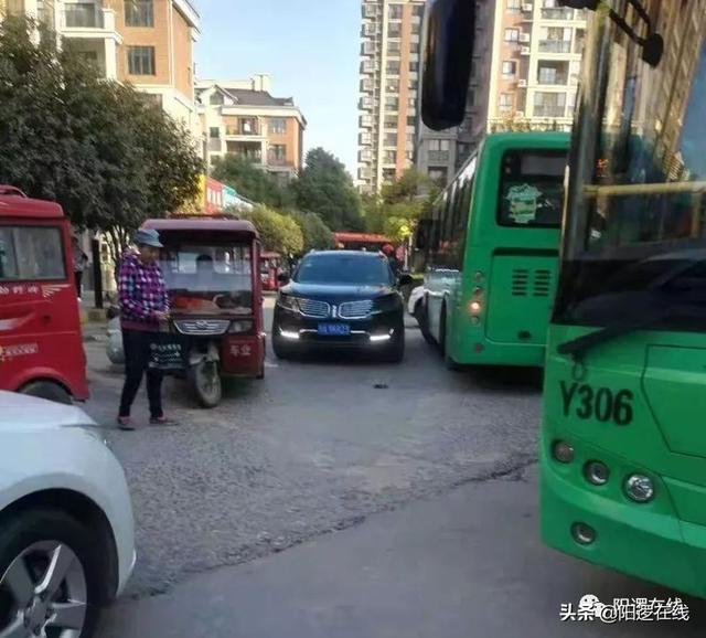 阳逻地区公交线路优化，等你来提建议