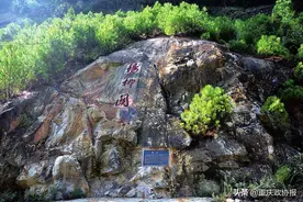 春秋 | 红军大战杨柳关图片