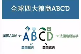 世界四大粮食商，为什么干不过一个中储粮，这储备量谁顶得住图片