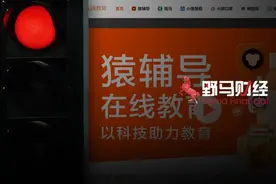严禁随意资本化运作，猿辅导、作业帮卡在上市“临门一脚”图片