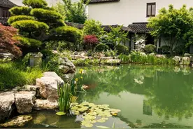 传统文化代表有哪些？大雁塔、静安寺、剪纸…还有这些百年老字号图片