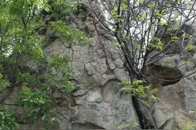南阳“岩石文”（岩画）试读（五）南阳远古石刻的生殖图腾图片