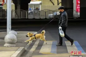 5月新规：下月起，出门遛狗必须拴绳图片