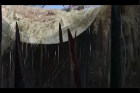 古代也有丧尸图片